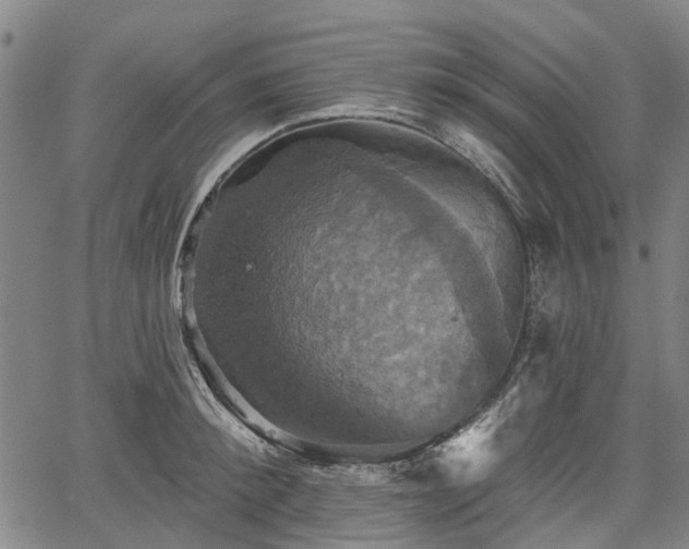 X0000067350900200604030931