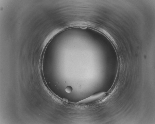 X0000067350901200604030931