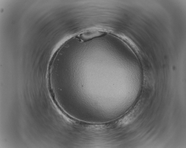 X0000067350902200604030931