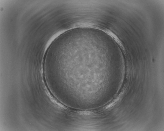 X0000067350904200604030931