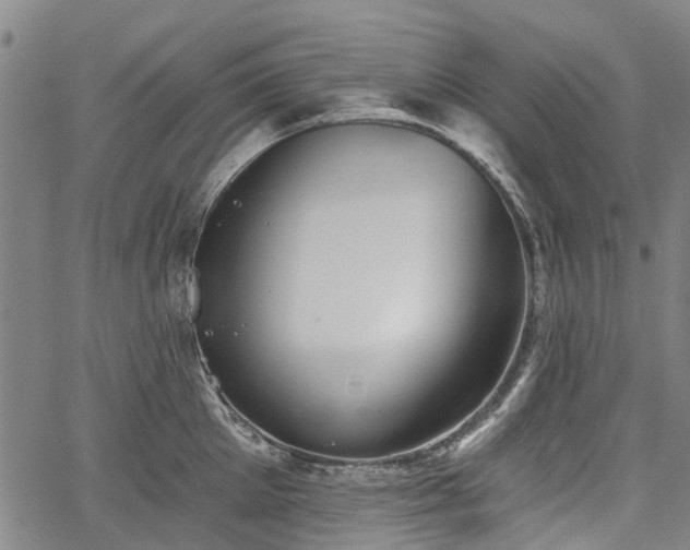 X0000067350905200604030931