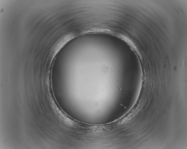 X0000067350906200604030931