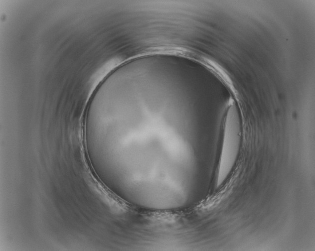 X0000067350907200604030931