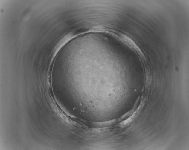 X0000067350908200604030931