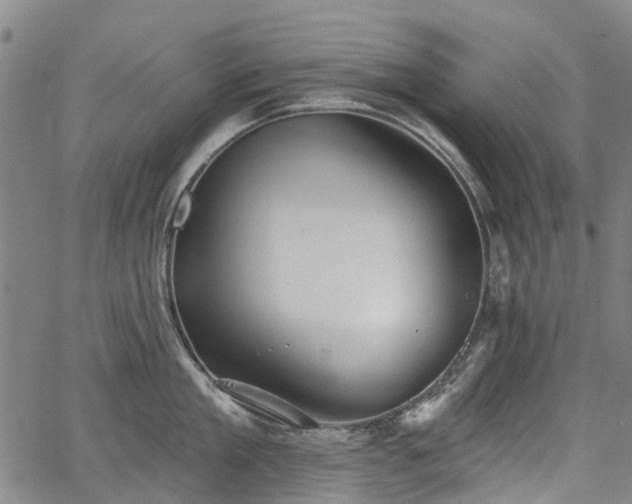 X0000067350909200604030931