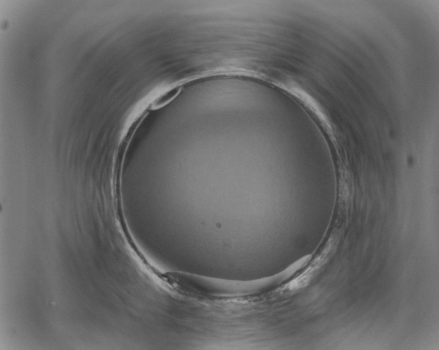 X0000067350910200604030931