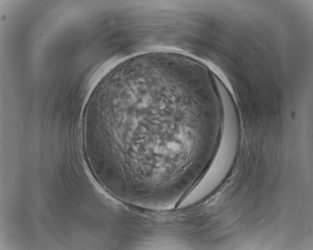 X0000067350911200604030931