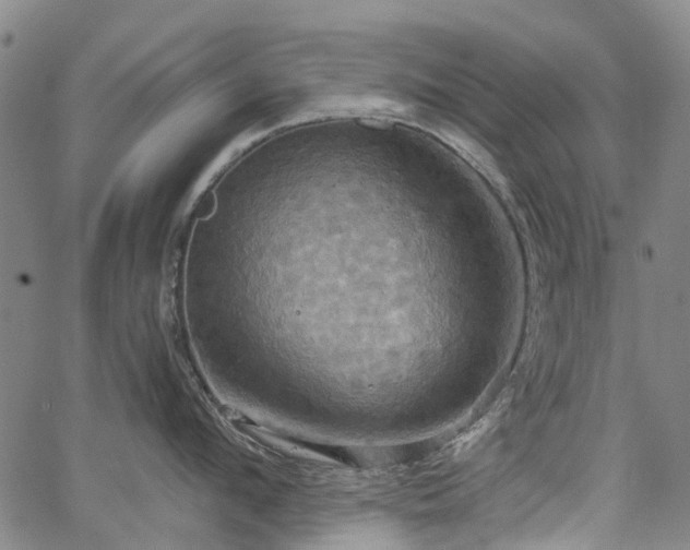 X0000067350912200604030931