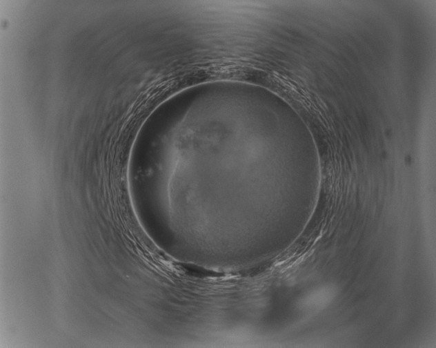 X0000067350913200604030930