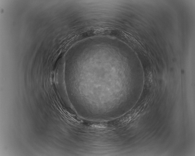 X0000067350914200604030930