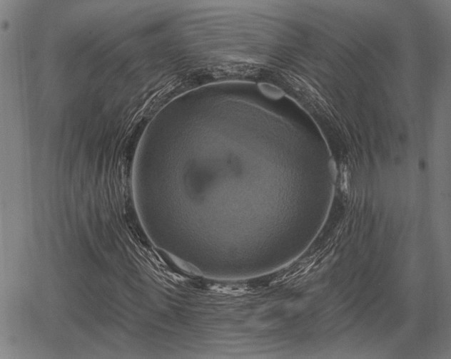 X0000067350915200604030930