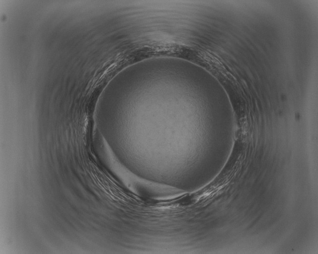 X0000067350916200604030930