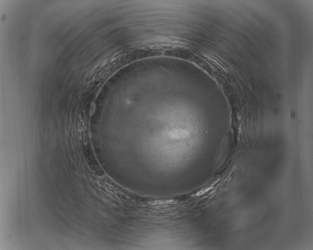 X0000067350917200604030930