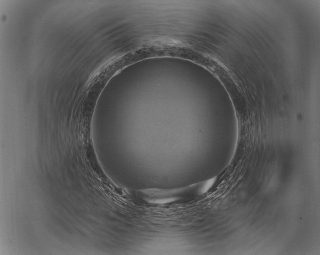 X0000067350919200604030930