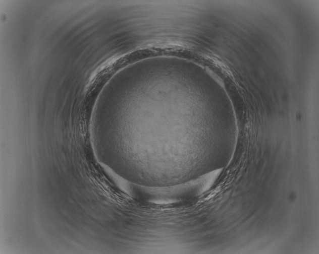 X0000067350920200604030930