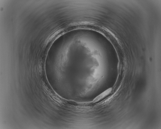 X0000067350921200604030930