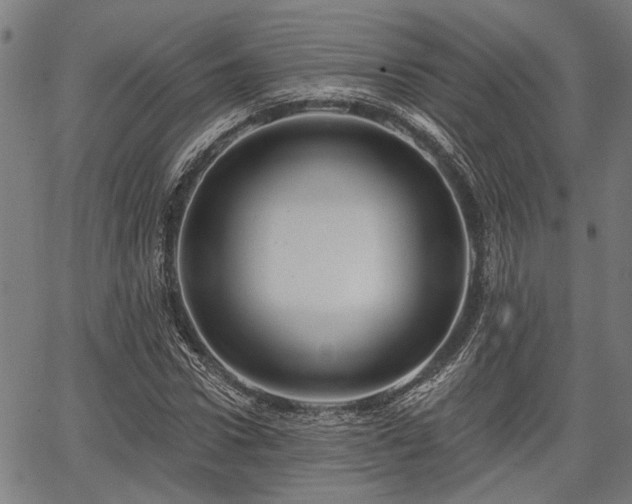 X0000067350922200604030930