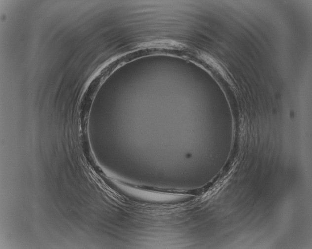 X0000067350923200604030930