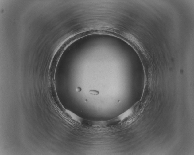 X0000067350924200604030930