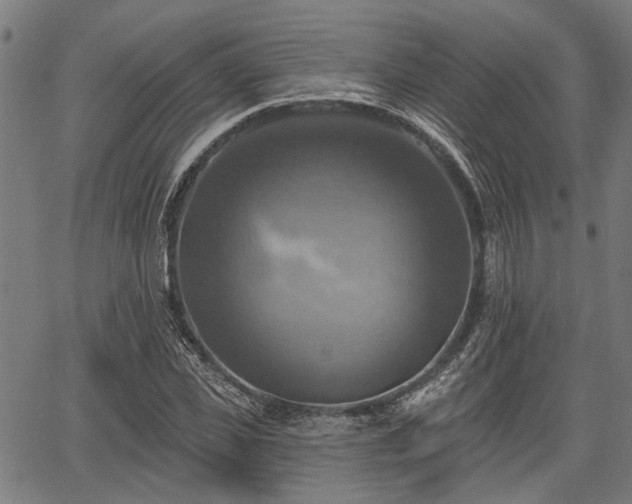 X0000067350925200604030930