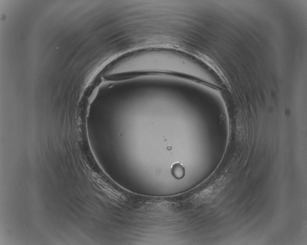 X0000067350926200604030930