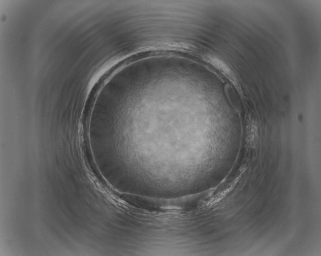 X0000067350928200604030930