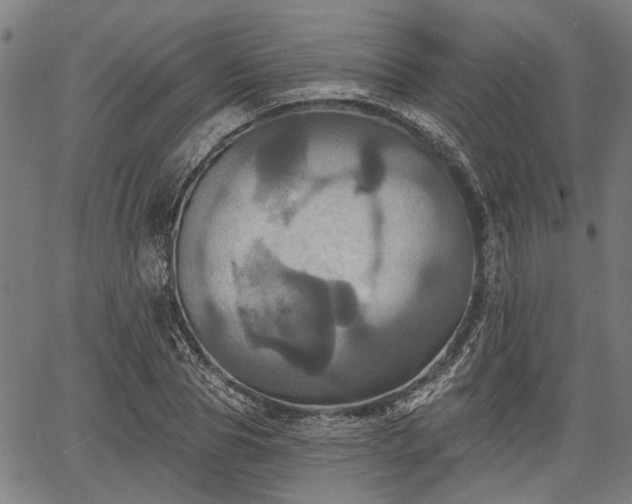 X0000067350929200604030930