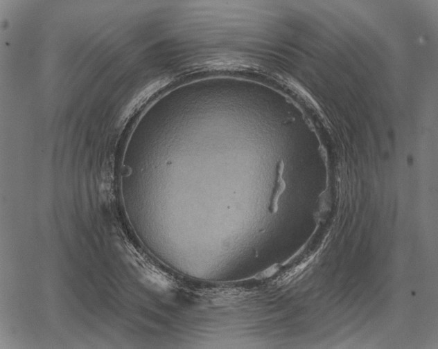 X0000067350930200604030930