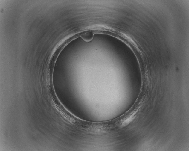 X0000067350931200604030930