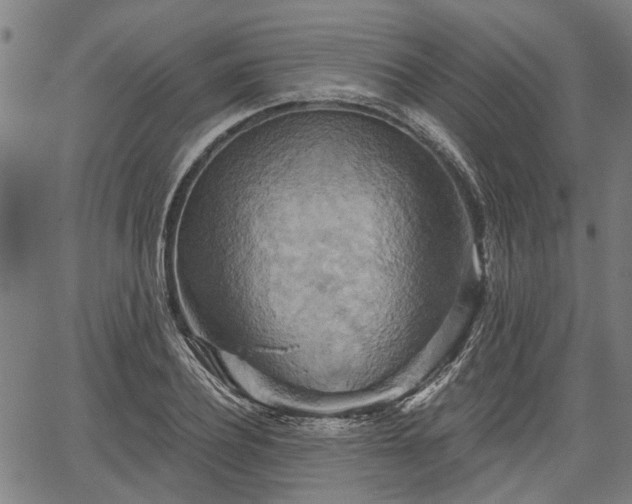 X0000067350932200604030930