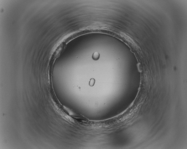 X0000067350934200604030930