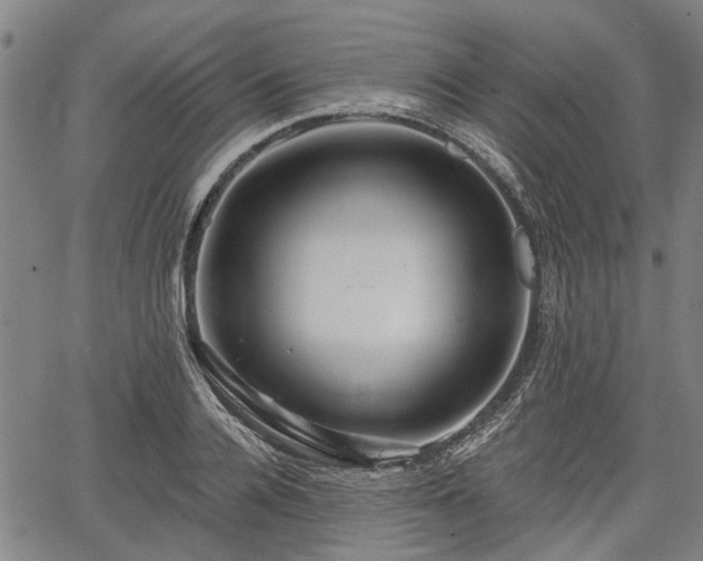 X0000067350936200604030930