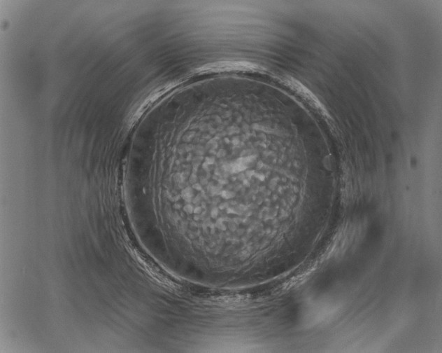 X0000067350937200604030930