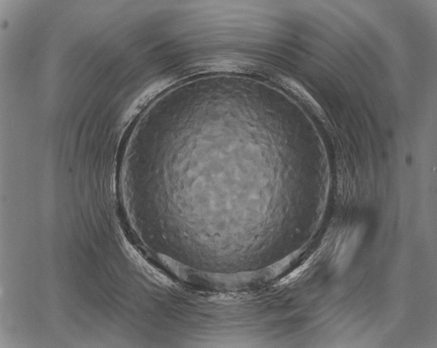 X0000067350938200604030930