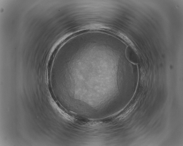 X0000067350939200604030930