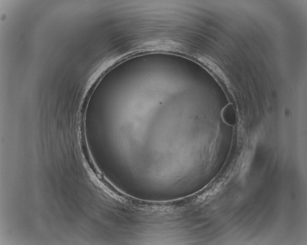 X0000067350941200604030930