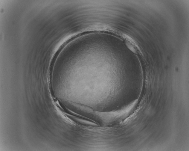 X0000067350942200604030930