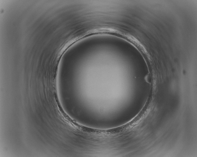 X0000067350945200604030930