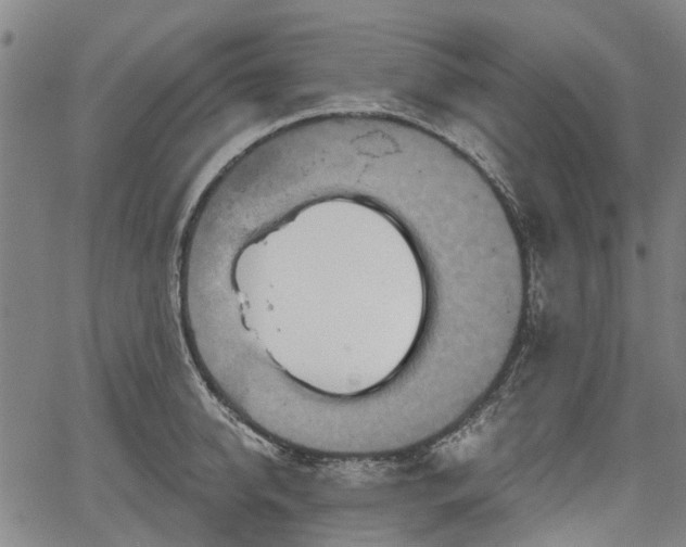 X0000067350950200604030930