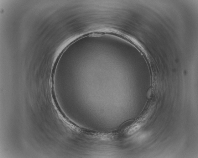 X0000067350951200604030931