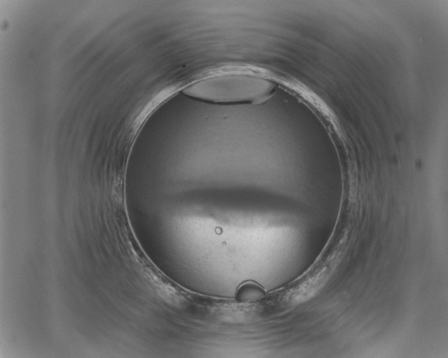 X0000067350953200604030931