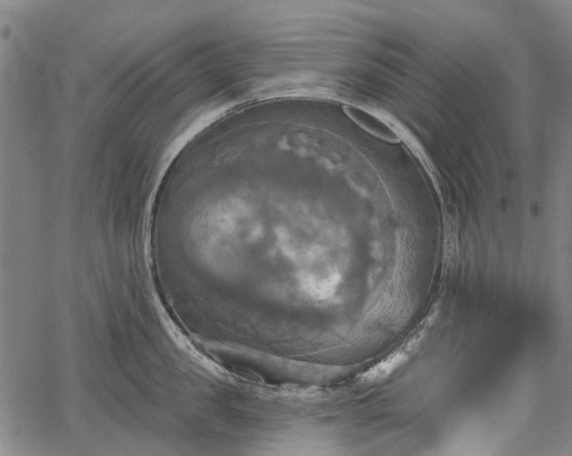 X0000067350957200604030931