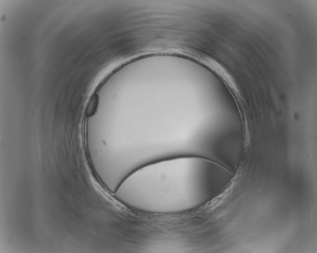 X0000067350958200604030931