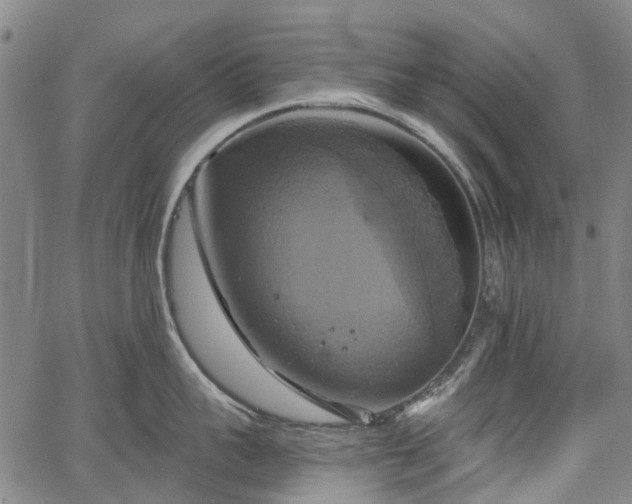 X0000067350959200604030931