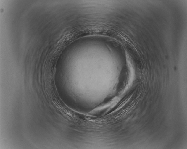 X0000067350961200604030930