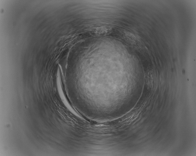 X0000067350962200604030930