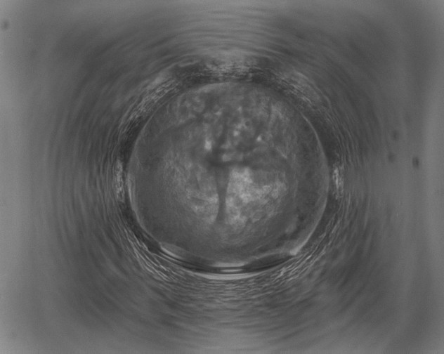 X0000067350963200604030930