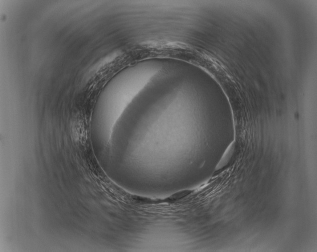 X0000067350966200604030930