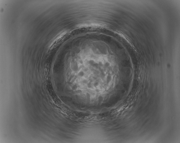 X0000067350967200604030930