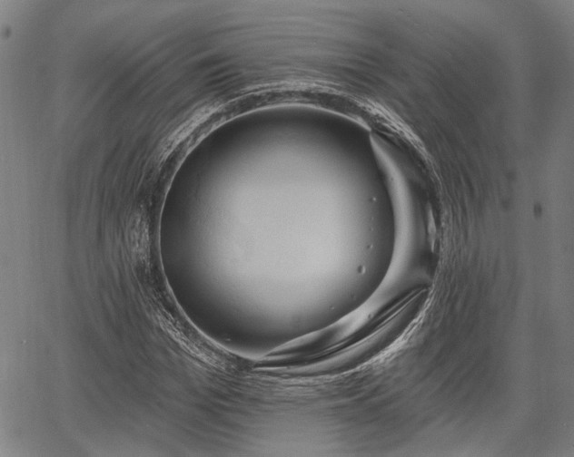 X0000067350969200604030930